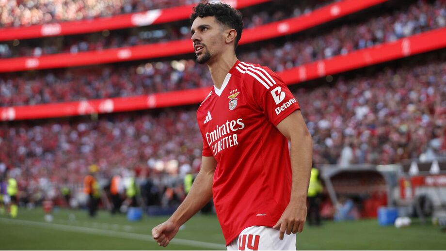 Tomás Araújo
