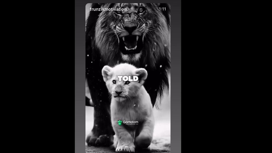 Treinador do Gil Vicente publicou vídeo nas redes sociais depois do encontro em Alvalade