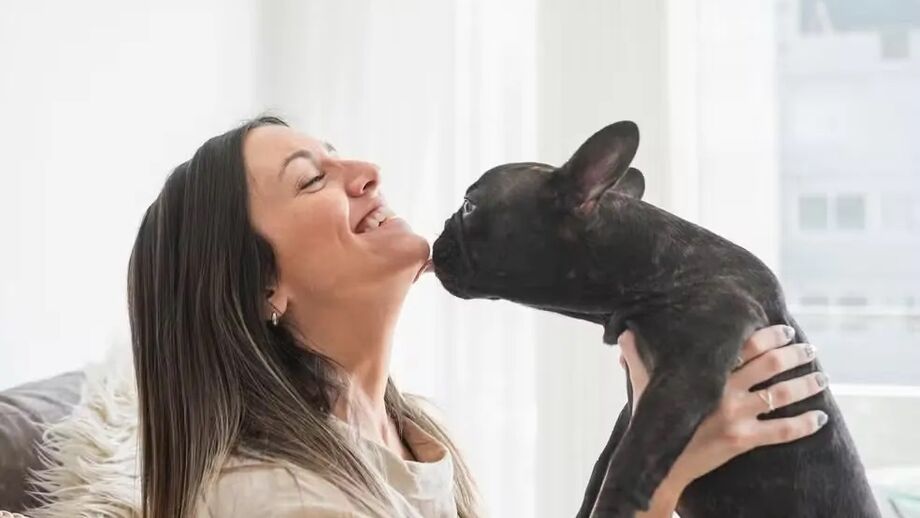 Os animais são seres bastante sensitivos, que pressentem tudo o que o dono sente