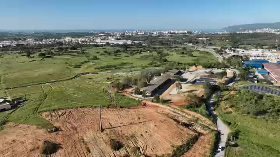 Nem as queixas-crime, nem as ações de busca e fiscalização conseguem travar o grupo empresarial que é investigado há dez anos