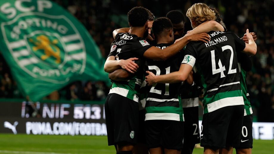 Leões celebram juntos mais um sucesso