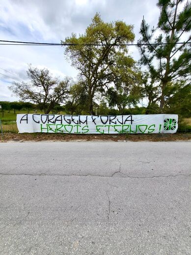 «A coragem forja heróis eternos»: adeptos do Sporting colocam tarja à saída da Academia 