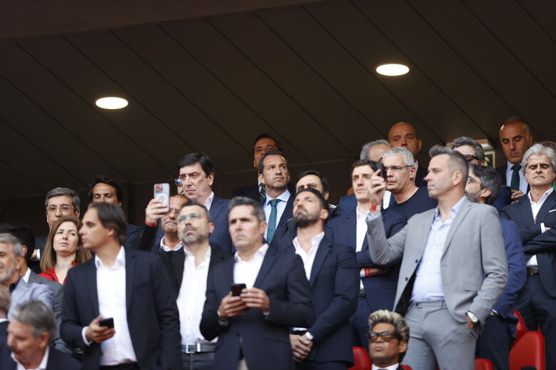 Frederico Varandas na tribuna da Luz no dérbi