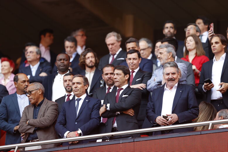 Rui Costa na tribuna da Luz no dérbi