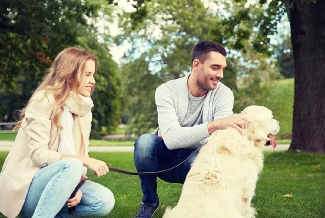 Casal acaricia cão durante passeio no parque