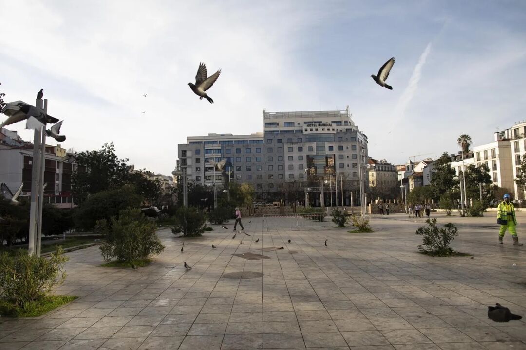 PSP faz buscas em Lisboa, Loures, Sintra, Amadora e Odemira por crimes e armas