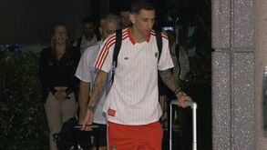 As imagens da chegada do Benfica aos EUA para participar no Mundial de Clubes