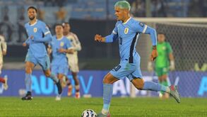 Maxi Araújo em alta após 