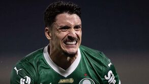 Piquerez e o jogo contra o FC Porto: «Espero que corra da maneira correta, com os três pontos»