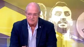 Jorge Amaral: «É estranho não haver qualquer proposta vincada por Gyökeres»