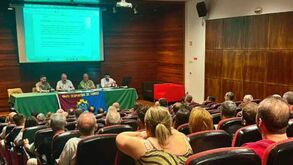 Francisco Carvalho é o novo presidente do Chaves