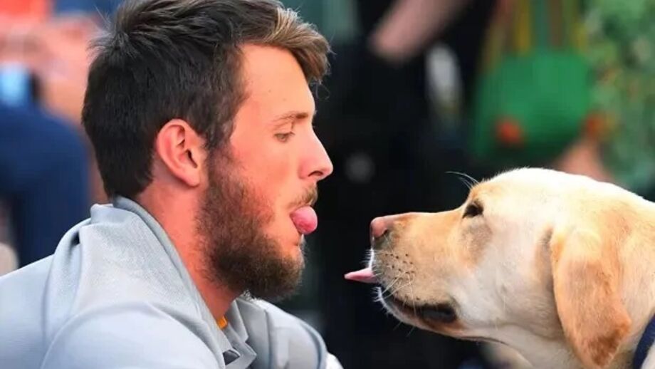 Os cães são animais sociáveis e que veem o seu humano como um membro da matilha