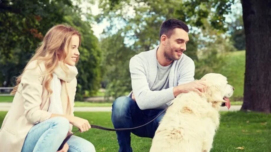 Passeios diários são essenciais para a saúde dos cães