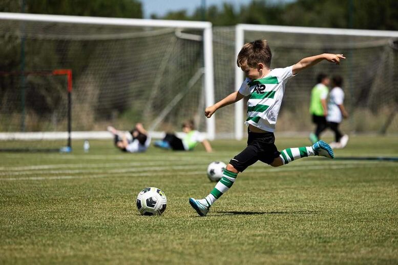 Frederico Varandas assiste a jogo do filho na Academia do Sporting