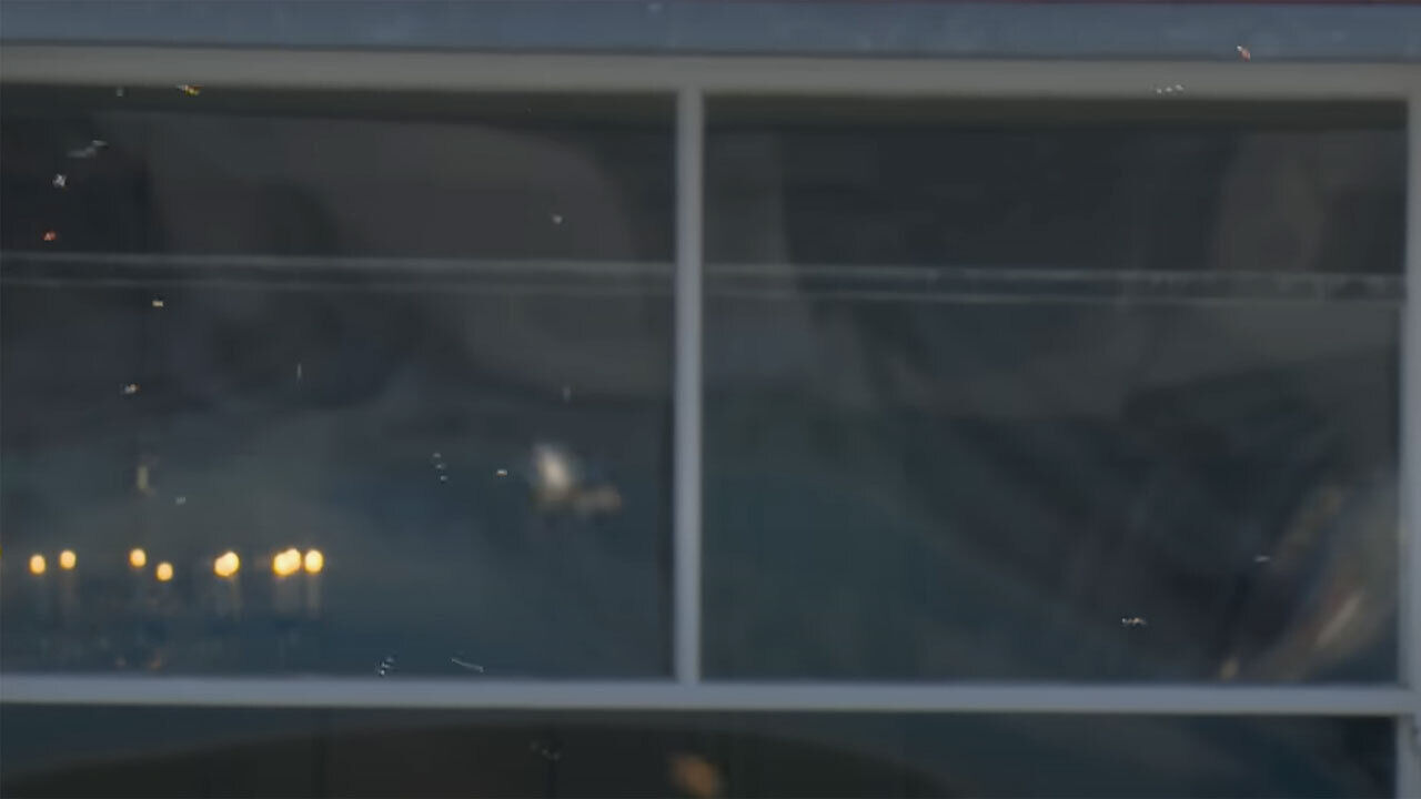 Enxame de joaninhas invade jogo de críquete em Inglaterra, evento insólito