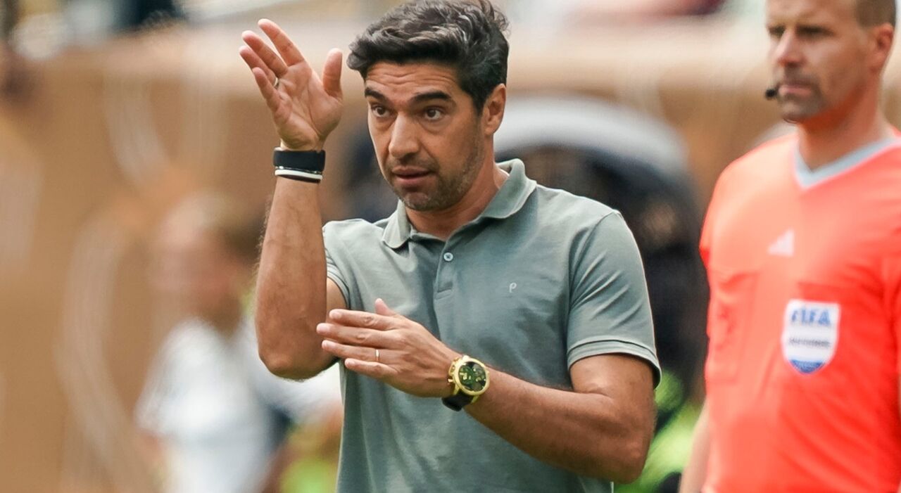 Abel Ferreira destaca-se no Palmeiras, Vojvoda sai do Fortaleza