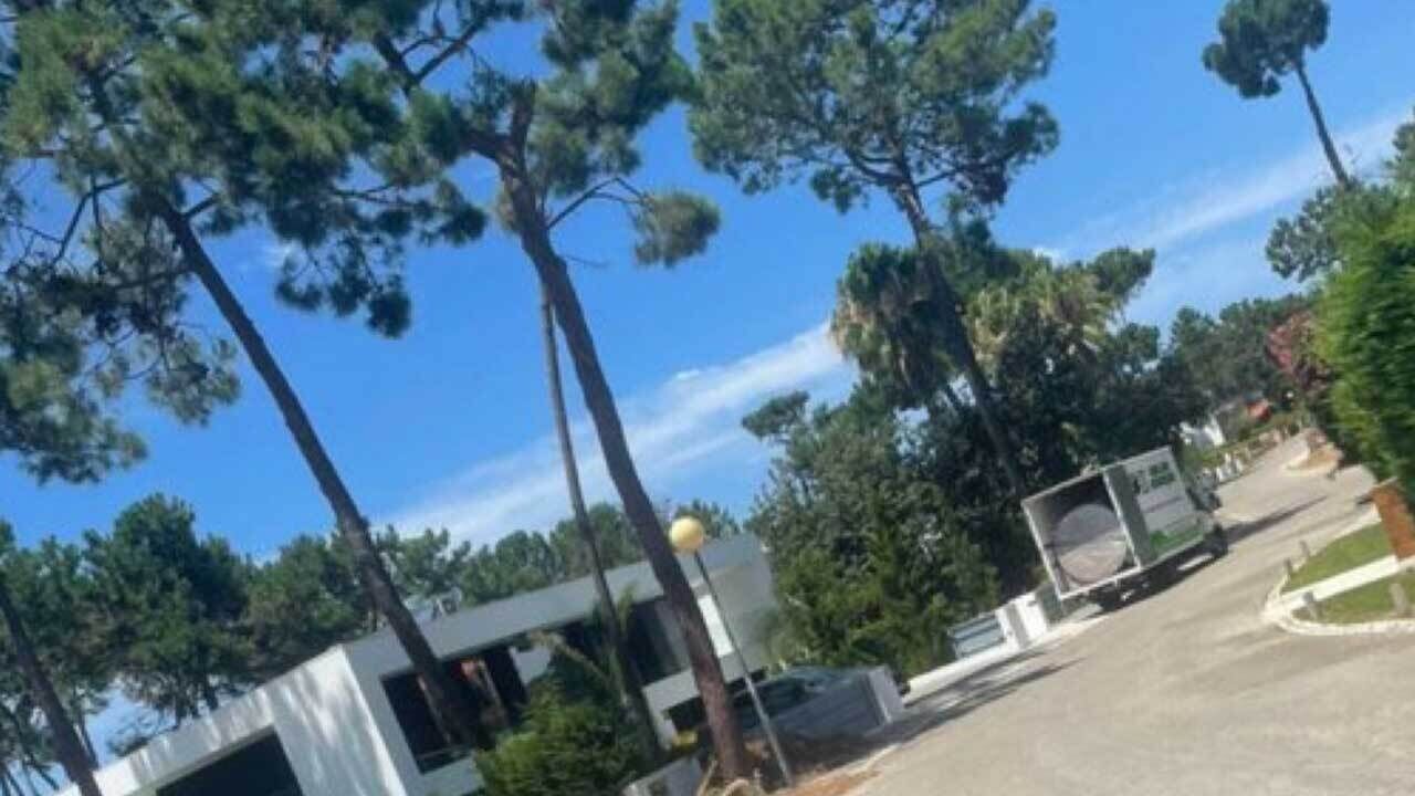 Gyökeres esvazia casa na Aroeira [Frame CNN Portugal]