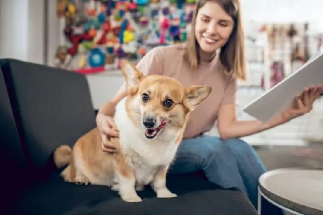 Ter um pet em casa significa alegria, diversão e muito amor