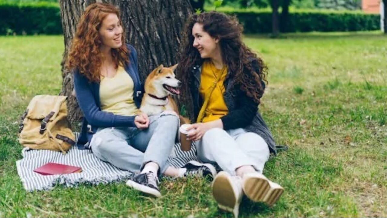 Há cafés e bares pet friendly espalhados por todo o país