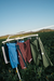 Nova marca portuguesa de calções de banho, Diploria Boardshorts, alia design, sustentabilidade e ligação ao oceano