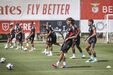 Pré-época 2025/26: Benfica realiza primeiro treino no relvado
