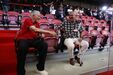 Não faltaram caras conhecidas na apresentação do Benfica District, no Estádio da Luz