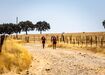 PT281 Ultramarathon Beira Baixa realizou-se pela 10.ª vez