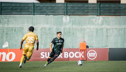 As imagens do empate do Sporting com o Farense
