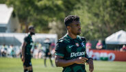 As imagens do empate do Sporting com o Farense