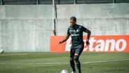 As imagens do empate do Sporting com o Farense