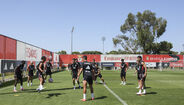 Treino do Benfica desta quinta-feira