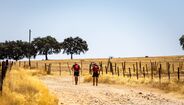 PT281 Ultramarathon Beira Baixa realizou-se pela 10.ª vez