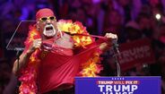 Hulk Hogan