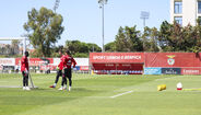 Operação Supertaça: Benfica continua a preparar dérbi com o Sporting