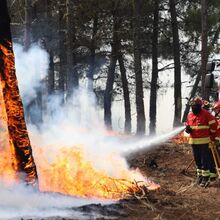 <![CDATA[ Incêndios: Governo renova situação de alerta até dia 13 ]]>