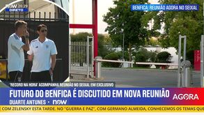 «Está tudo bem entre Rui Costa e Bruno Lage. O treinador do Benfica na próxima época vai ser Bruno Lage»