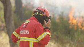Quase 30 concelhos em risco máximo de incêndio sobretudo no interior
