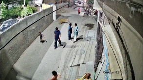 Leão salta muro e ataca uma mulher e os dois filhos no Paquistão 