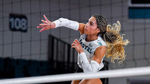 Jasmine Rivest é reforço do FC Porto para a nova época de voleibol.
