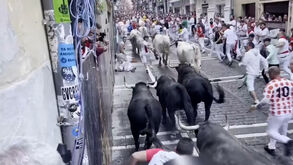 Loucura das corridas de touros de San Fermin volta a invadir as ruas de Pamplona  