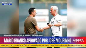 Mário Branco, aprovado por Mourinho e com carreira no estrangeiro: o perfil do novo diretor do Benfica em menos do um minuto 