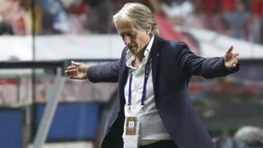 Advogado de Jorge Jesus esclarece processo contra o Benfica