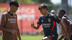 Nuno Félix sofre entorse no joelho direito com rotura completa do ligamento cruzado anterior