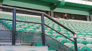 Novas imagens de Alvalade: fosso está fechado e novas cadeiras já estão a ser colocadas