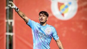 Diogo Ferreira dispensado da Seleção sub-19: joelho trai guarda-redes do Benfica