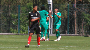 Tondela vence Benfica B em jogo-treino disputado em Viseu