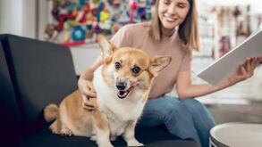 Ter um pet em casa significa alegria, diversão e muito amor