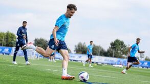 Martim Fernandes: «Míster quer aquela raça de dragão»