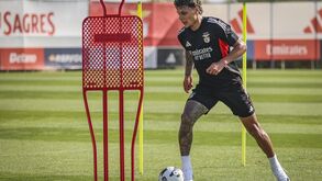 Richard Ríos direto ao onze do Benfica