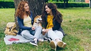Quer passar momentos inesquecíveis sem deixar o seu patudo em casa? Há cafés e bares pet friendly espalhados por todo o país